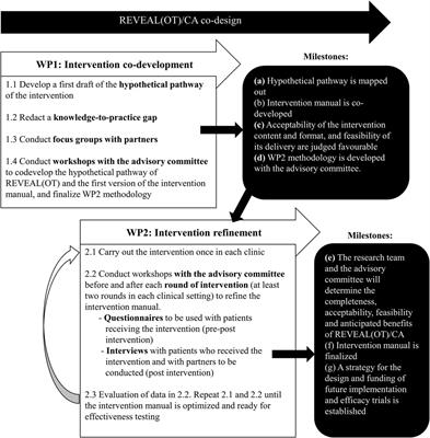 Co-designing a Canadian adaptation of a lifestyle-oriented intervention aimed to improve daily functioning of individuals living with chronic pain: a multi-method study protocol of REVEAL(OT) Canada
